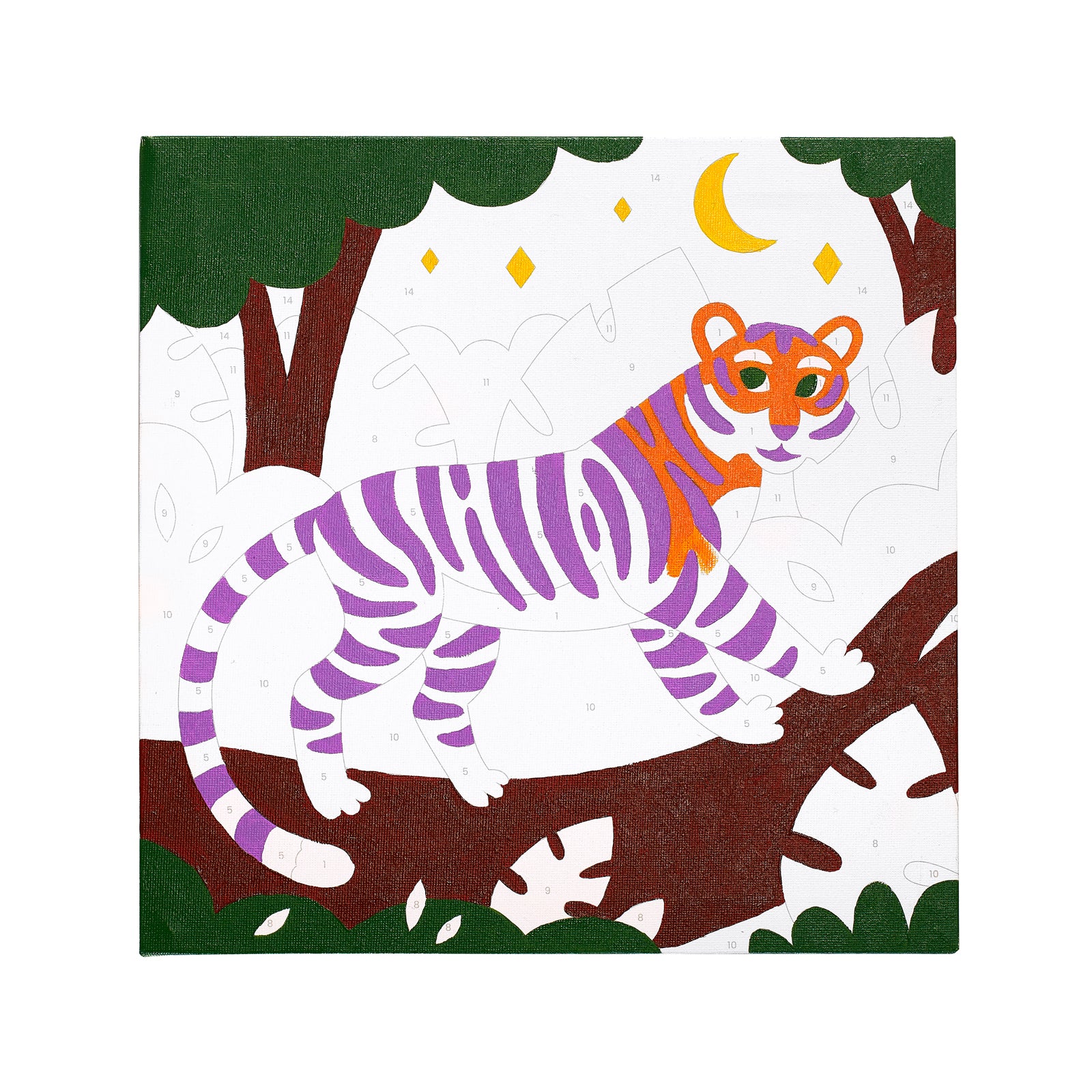Ooly Colorific Canvas Malen nach Zahlen Kit - Terrific Tiger