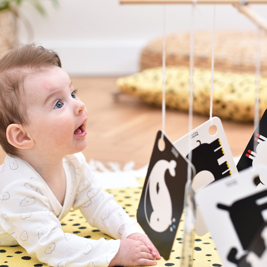 Banana Panda Banana Panda High Contrast Flash Cards on a Ring - 3 months+