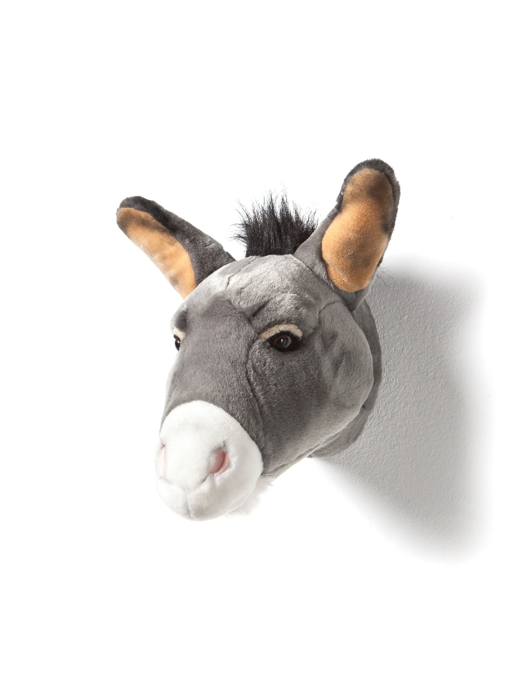 WILD&SOFT Erhabener Francis: Der liebenswerte Esel für unvergessliche Abenteuer! 🌟