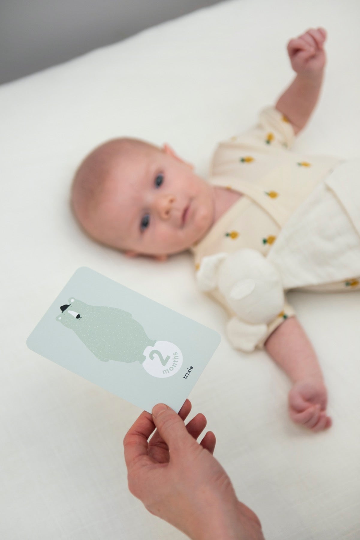 Trixie Prinzessinnen- und Drachenabenteuer: Meilensteinkarten für die süßesten Babys! 🌟💫