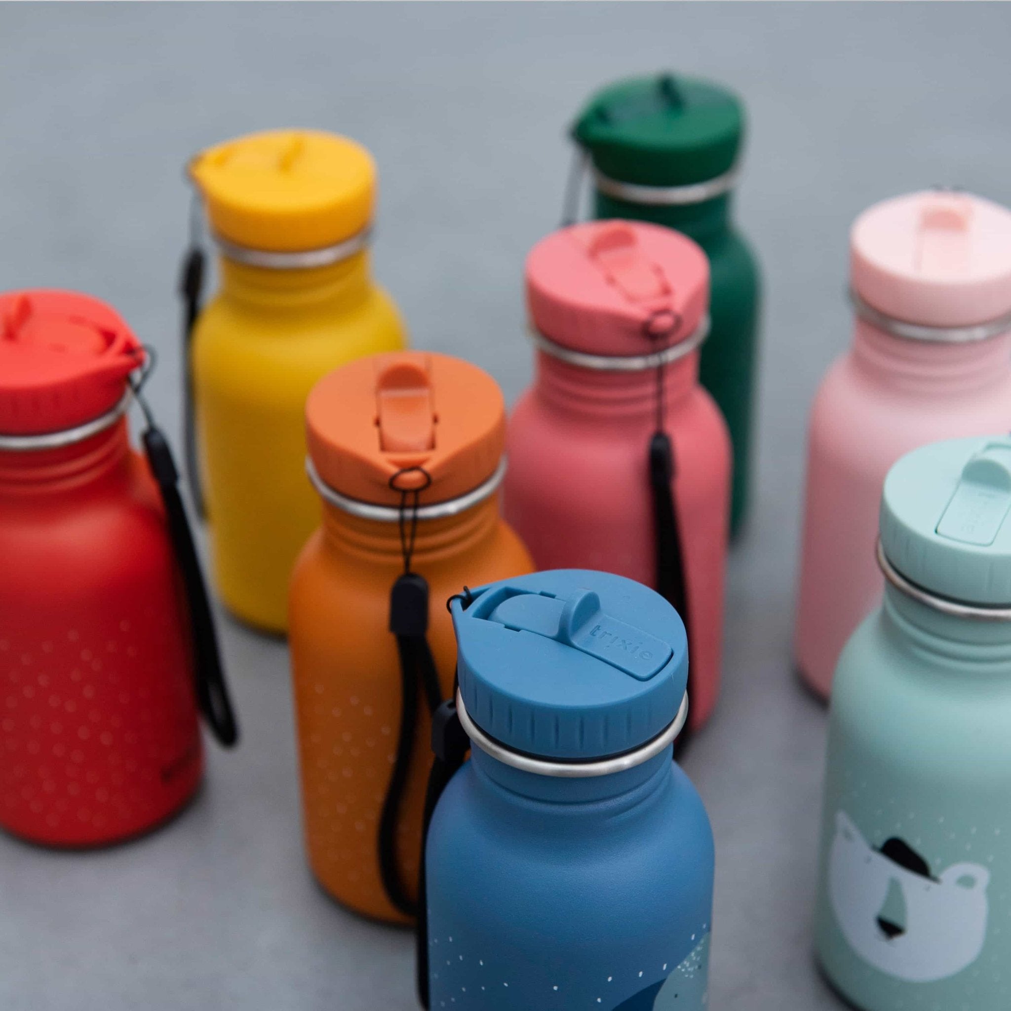 Buy Tierdesign Trinkflasche aus Edelstahl - 350 ml Online